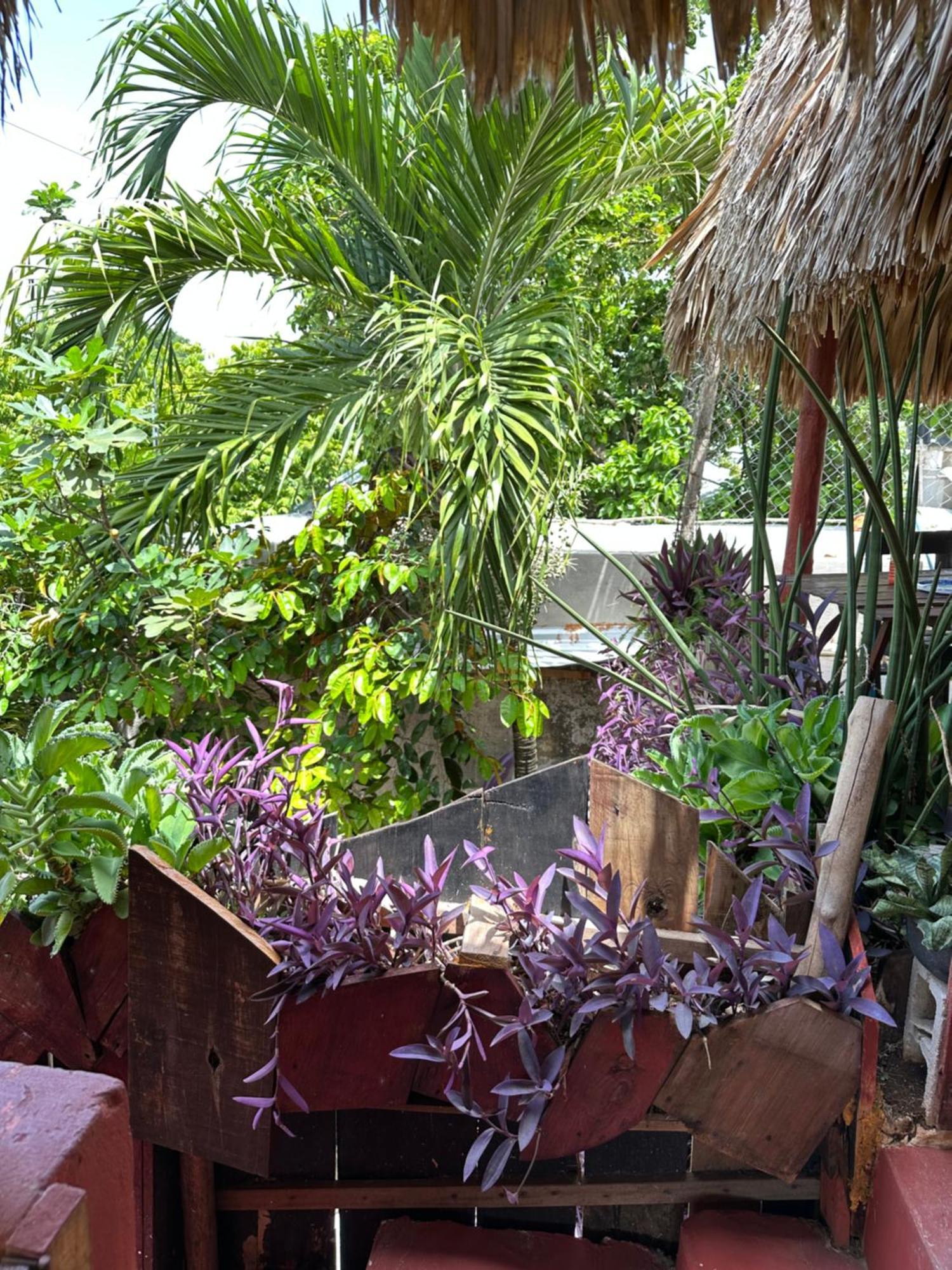 Black Jaguar Hostel บากาลาร์ ภายนอก รูปภาพ