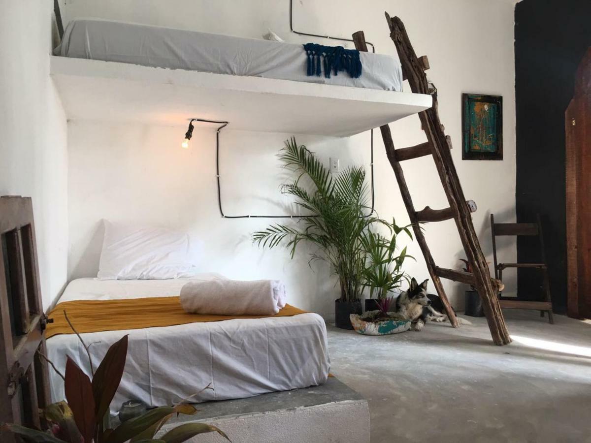 Black Jaguar Hostel บากาลาร์ ภายนอก รูปภาพ